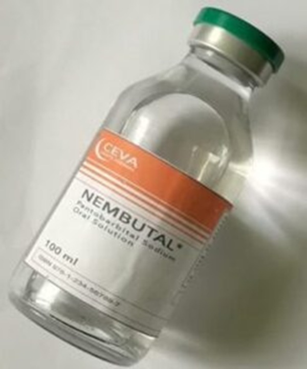 Nembutal-Lösung oral kaufen - Nembutal orale Lösung kaufen